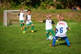 DSC08856 DSC08856